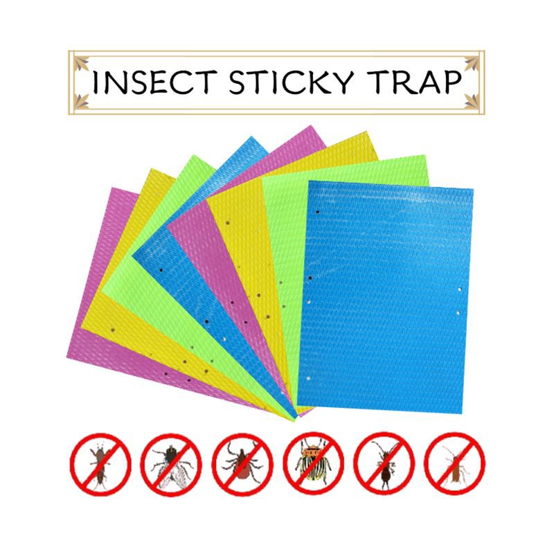 Biodegradable Insect Sticky Trap