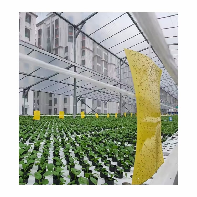 greenhouse greenhouse