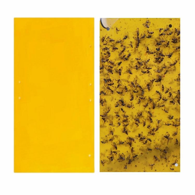 Yellow Sticky Traps For Flying Plant Insect