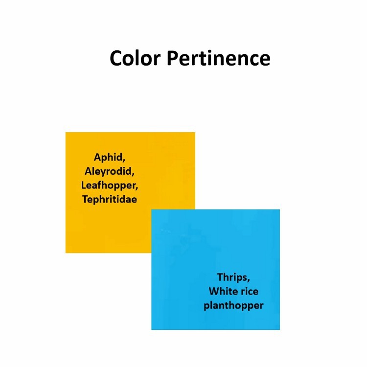 Yellow Sticky Traps For Flying Plant Insect suppliers